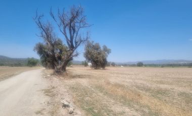 Venta de Terreno Ejido San Francisco y San Vicente, en El Municipio de Epazoyucan Hidalgo