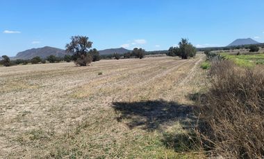 Venta de Terreno Ejido San Francisco y San Vicente, en El Municipio de Epazoyucan Hidalgo