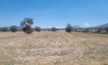 Venta de Terreno Ejido San Francisco y San Vicente, en El Municipio de Epazoyucan Hidalgo
