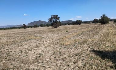 Venta de Terreno Ejido San Francisco y San Vicente, en El Municipio de Epazoyucan Hidalgo