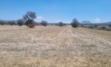 Venta de Terreno Ejido San Francisco y San Vicente, en El Municipio de Epazoyucan Hidalgo