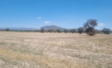 Venta de Terreno Ejido San Francisco y San Vicente, en El Municipio de Epazoyucan Hidalgo