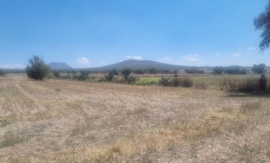 Venta de Terreno Ejido San Francisco y San Vicente, en El Municipio de Epazoyucan Hidalgo