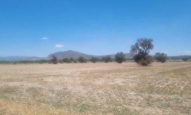 Venta de Terreno Ejido San Francisco y San Vicente, en El Municipio de Epazoyucan Hidalgo