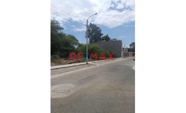 Terreno En Venta En La 1Era Etapa De Palmeras-Centenario // ID: 1135731