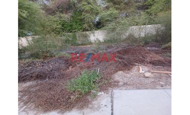 Terreno En Venta En La 1Era Etapa De Palmeras-Centenario // ID: 1135731