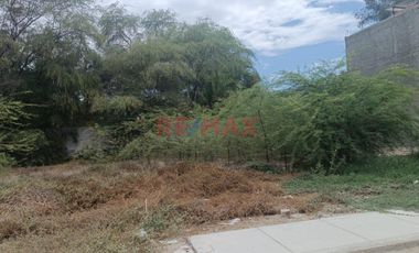 Terreno En Venta En La 1Era Etapa De Palmeras-Centenario // ID: 1135731