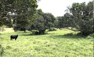 𝐕𝐚𝐜𝐚𝐧𝐭 𝐋𝐨𝐭𝐬 𝐟𝐨𝐫 𝐒𝐚𝐥𝐞 𝐚𝐭 𝐍𝐨𝐫𝐭𝐡𝐛𝐨𝐮𝐧𝐝 𝐒𝐭𝐚𝐫 𝐓𝐨𝐥𝐥𝐰𝐚𝐲 𝐑𝐨𝐚𝐝 𝐢𝐧 𝐁𝐚𝐭𝐚𝐧𝐠𝐚𝐬 𝐂𝐢𝐭𝐲