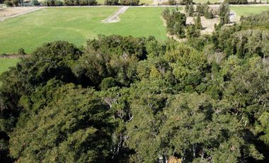 Parcela en Puerto Varas, Ensenada - Condominio Los Riscos