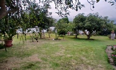VENDO QUINTA PUEMBO