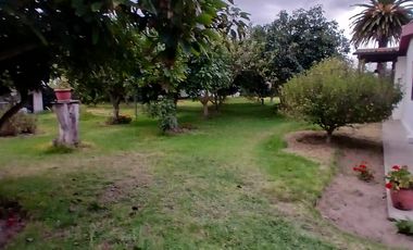 VENDO QUINTA PUEMBO