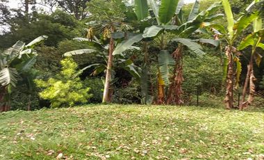 Se vende lote en Piedecuesta