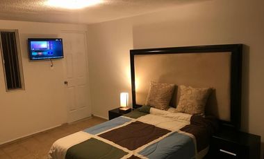 Suite Ejecutiva Centrica Leon