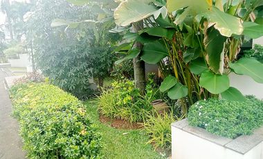 House For Rent, with Garden & Private Pool at Lembong Cilandak, South Jakarta