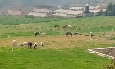 Terreno en venta en Guano, con 2 hectáreas con acceso asfaltado