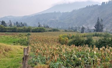 Terreno en venta en Guano, con 2 hectáreas con acceso asfaltado
