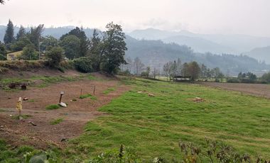 Terreno en venta en Guano, con 2 hectáreas con acceso asfaltado