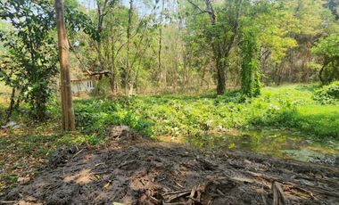 A large plot of land for sale in Mae Rim, Chiang Mai