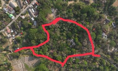 A large plot of land for sale in Mae Rim, Chiang Mai