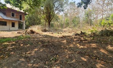 A large plot of land for sale in Mae Rim, Chiang Mai