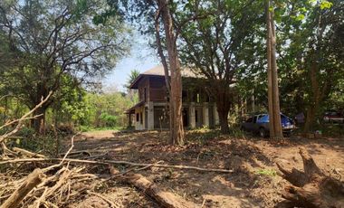 A large plot of land for sale in Mae Rim, Chiang Mai