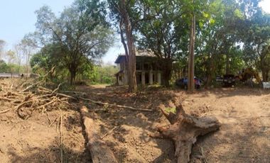 A large plot of land for sale in Mae Rim, Chiang Mai