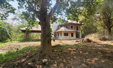 A large plot of land for sale in Mae Rim, Chiang Mai