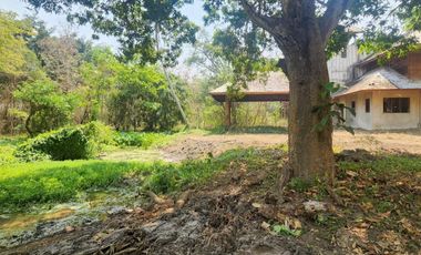 A large plot of land for sale in Mae Rim, Chiang Mai