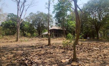 A large plot of land for sale in Mae Rim, Chiang Mai