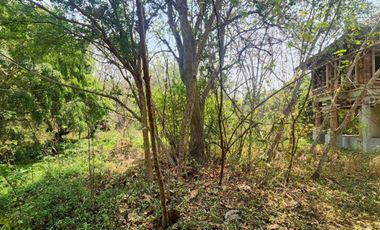 A large plot of land for sale in Mae Rim, Chiang Mai