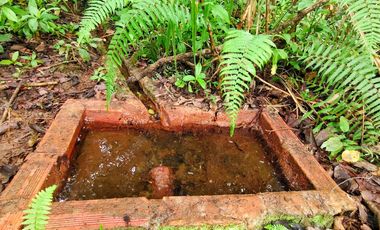 VENTA DE FINCA EN CURITI SANTANDER VEREDA LLANO DE NAVAS