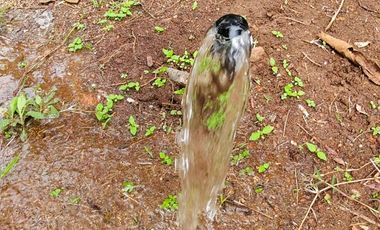 VENTA DE FINCA EN CURITI SANTANDER VEREDA LLANO DE NAVAS