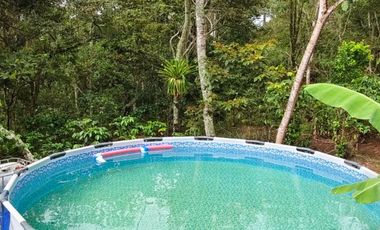 VENTA DE FINCA EN CURITI SANTANDER VEREDA LLANO DE NAVAS