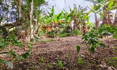 VENTA DE FINCA EN CURITI SANTANDER VEREDA LLANO DE NAVAS