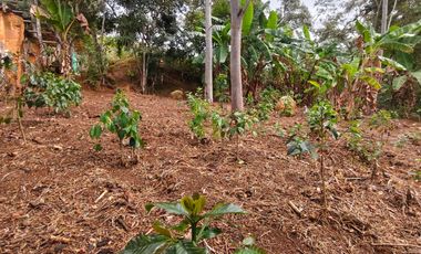 VENTA DE FINCA EN CURITI SANTANDER VEREDA LLANO DE NAVAS