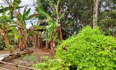 VENTA DE FINCA EN CURITI SANTANDER VEREDA LLANO DE NAVAS