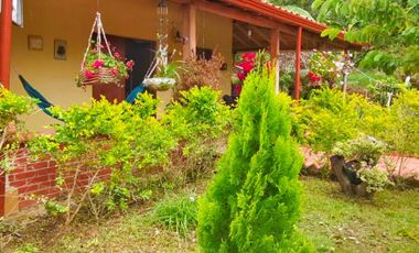 VENTA DE FINCA EN CURITI SANTANDER VEREDA LLANO DE NAVAS