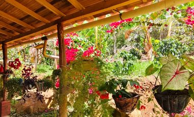 VENTA DE FINCA EN CURITI SANTANDER VEREDA LLANO DE NAVAS