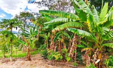 VENTA DE FINCA EN CURITI SANTANDER VEREDA LLANO DE NAVAS