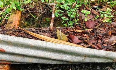 VENTA DE FINCA EN CURITI SANTANDER VEREDA LLANO DE NAVAS