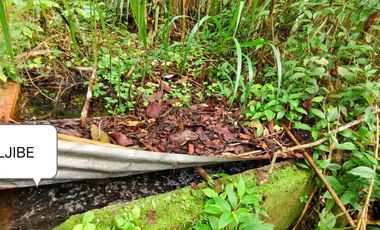 VENTA DE FINCA EN CURITI SANTANDER VEREDA LLANO DE NAVAS