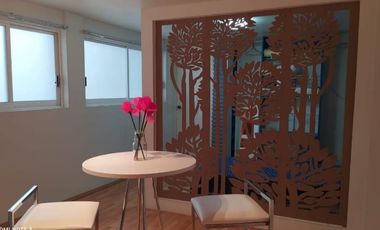 LOFT EN RENTA   COL.  ANAHUAC
