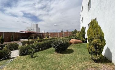 Renta Suites Ejecutivas Amuebladas 