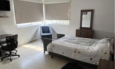 Renta Suites Ejecutivas Amuebladas 