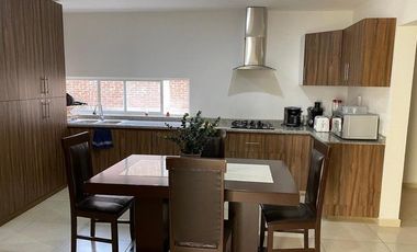 Renta Suites Ejecutivas Amuebladas 