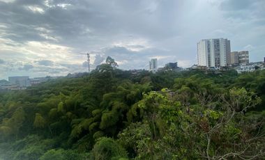🏡 ¡Apartamento en Arriendo BOTANIKA Conjunto Cerrado sobre Avenida Centenario! 🌿