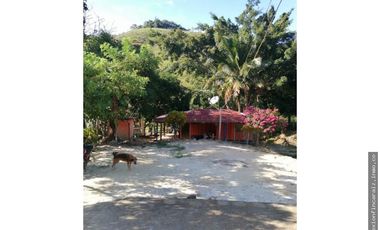 Venta Finca Ganadera Maceo Antioquia