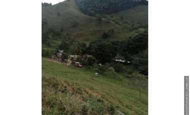 Venta Finca Ganadera Maceo Antioquia