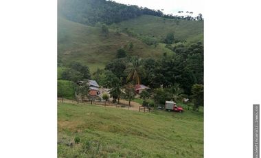 Venta Finca Ganadera Maceo Antioquia