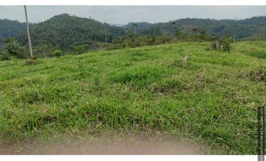 Venta Finca Ganadera Maceo Antioquia
